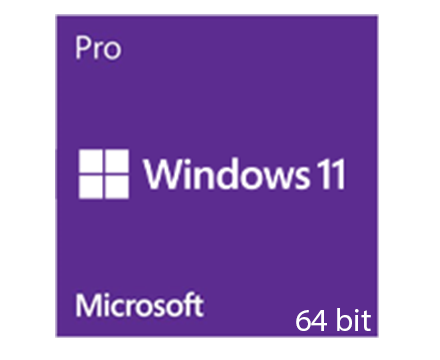<strong>WINDOWS 11 PRO OEM</strong>