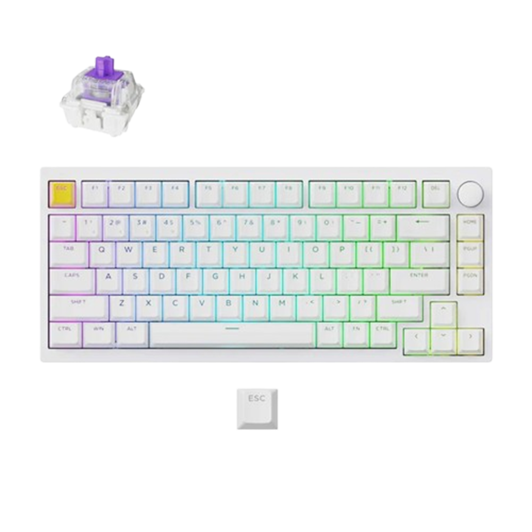 <strong>Lemokey P1 HE Wireless Magnetic Switch Custom(White)- CHERRY PBT DOUBLE-SHOT (SHINE-THROUGH)</strong>