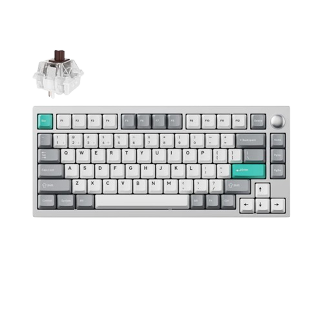 <strong>Lemokey P1 QMK/VIA Custom Gaming KB - SPACE SILVER / BROWN SWITCH</strong>