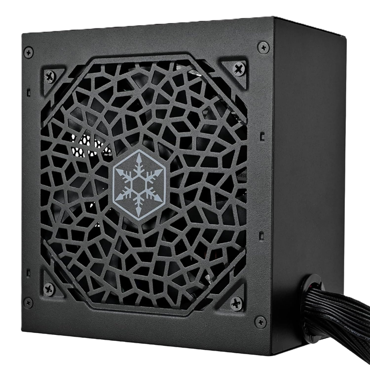 <strong>SILVERSTONE TRITON TR750R-750W ATX3.1 80+ GOLD PCIe5 PSU</strong>