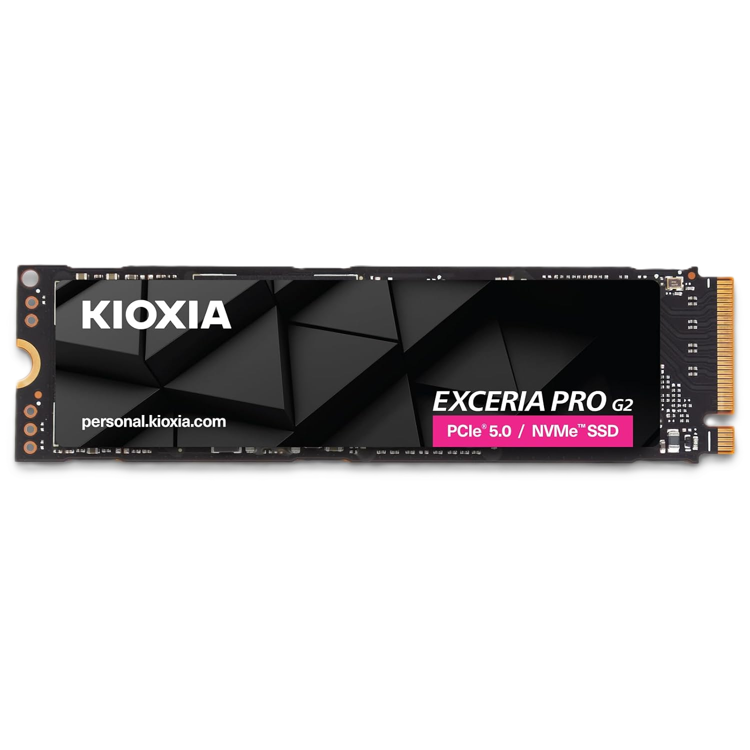 <strong>KIOXIA EXCERIA PRO G2 1TB SSD</strong>